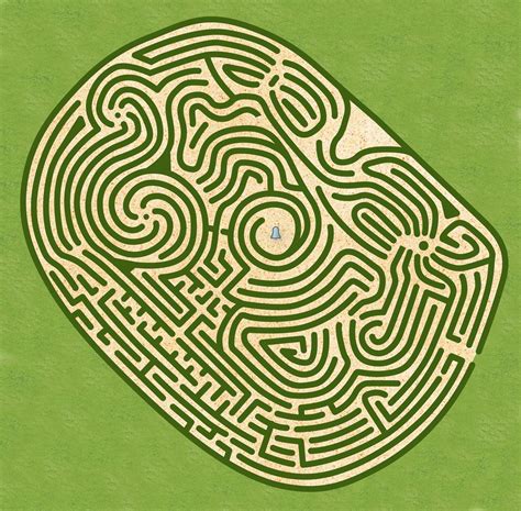 Completing the Maze